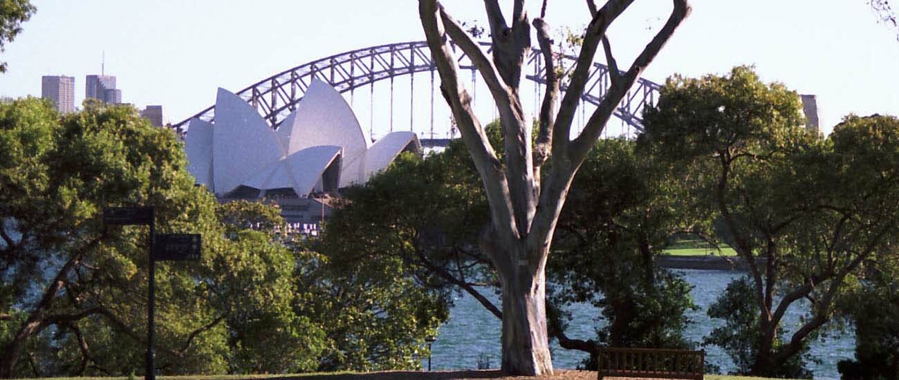 Australia cruises