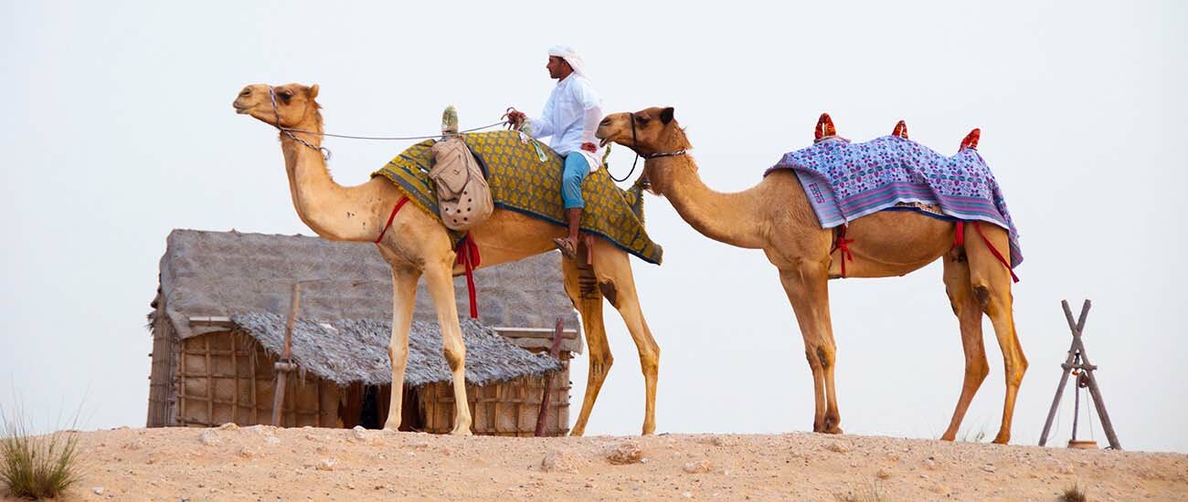 Middle east cruises