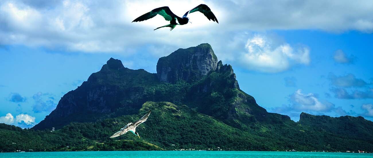 South Pacific Cruises