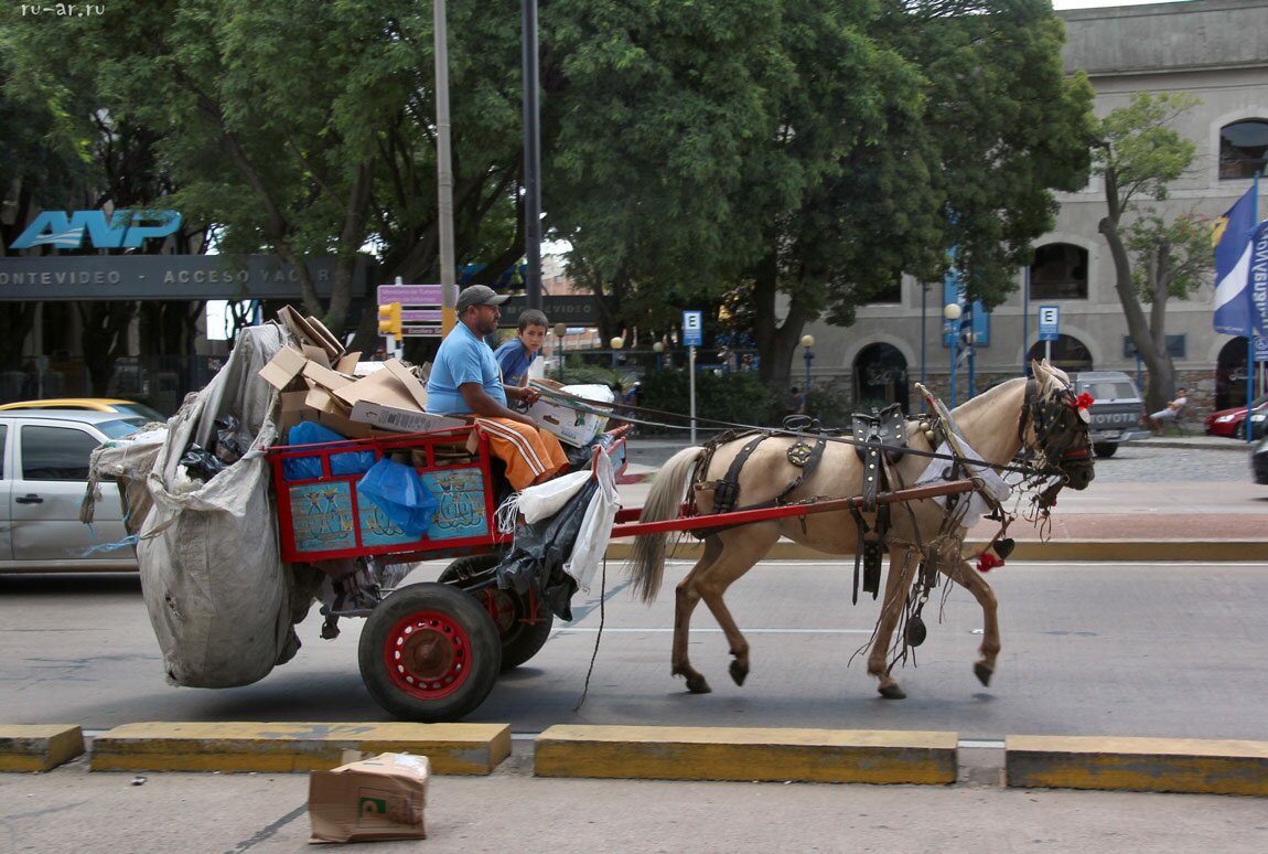 11uruguay-city-tour-montevideo.jpg