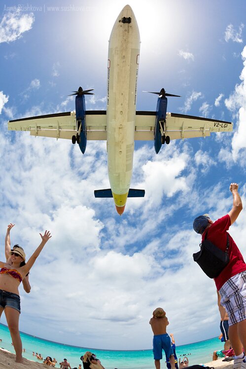 21turboprops-of-sint-maarten.jpg