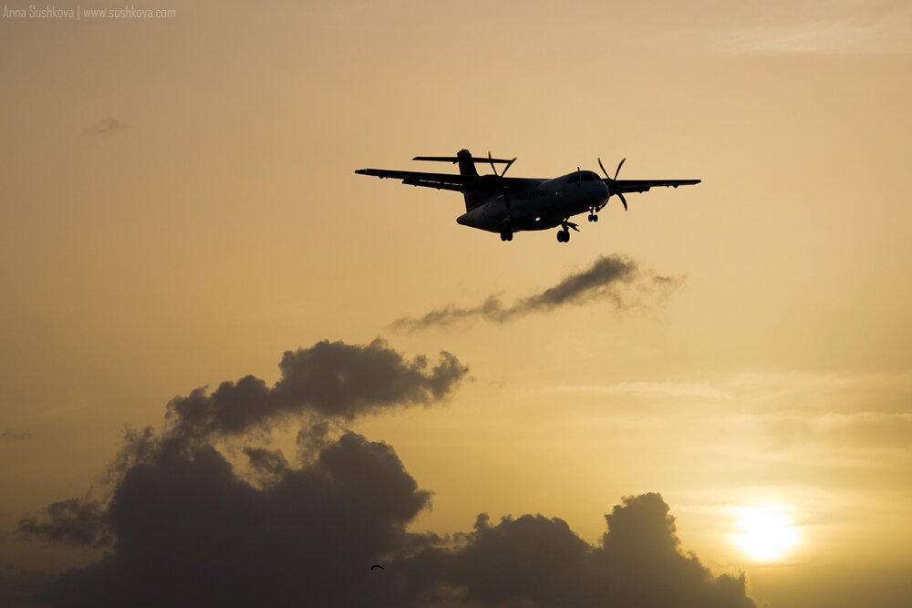 23turboprops-of-sint-maarten.jpg