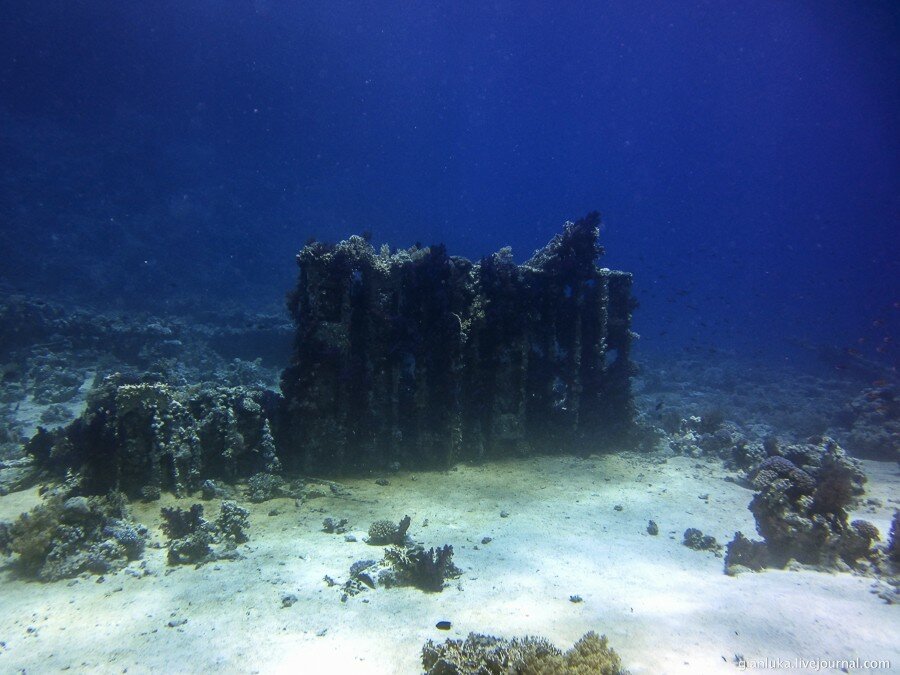 2underwater-egypt.jpg