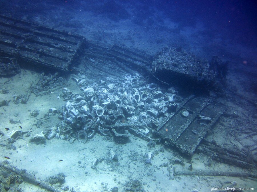 31underwater-egypt.jpg