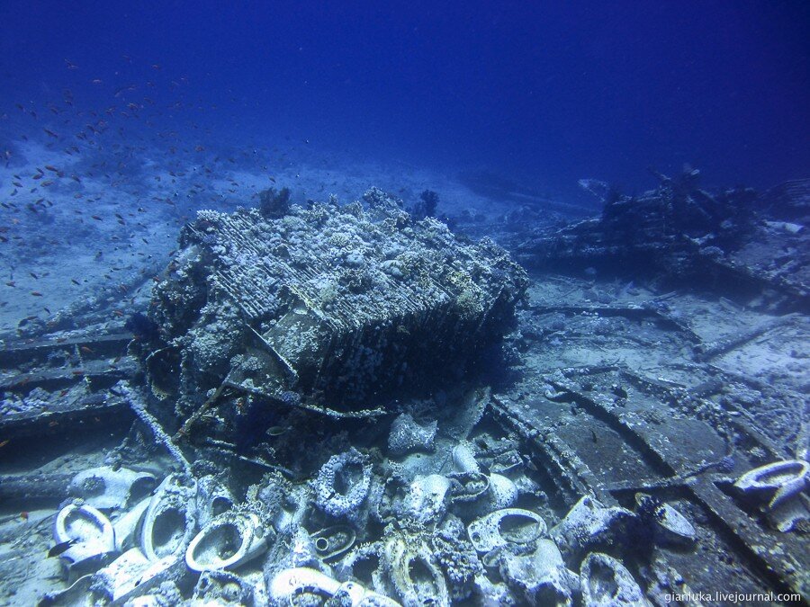 33underwater-egypt.jpg