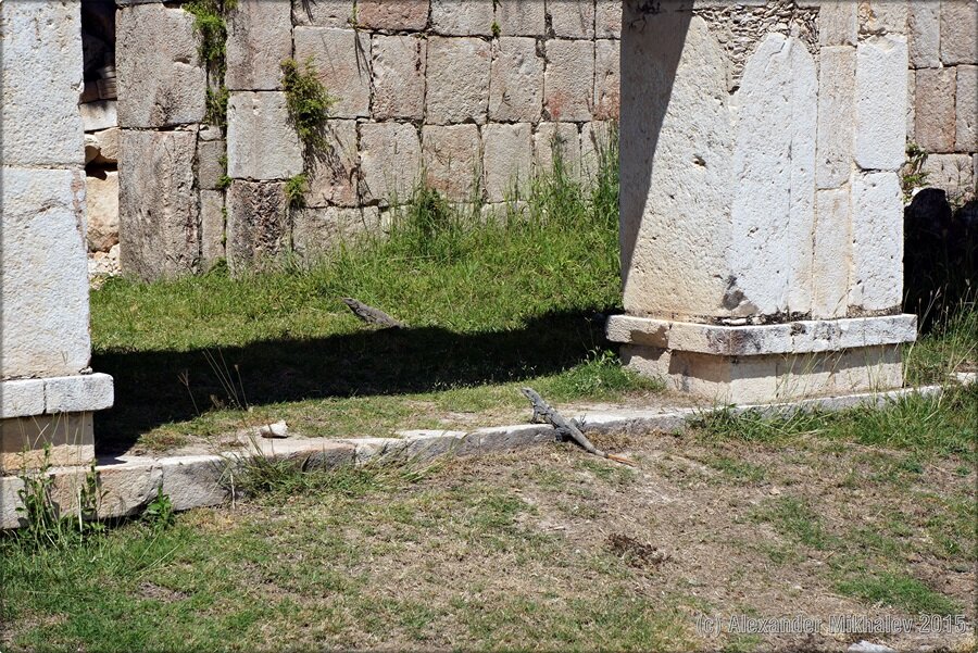 36mayan-ruins-of-the-yucatan-progreso-mexico.jpg