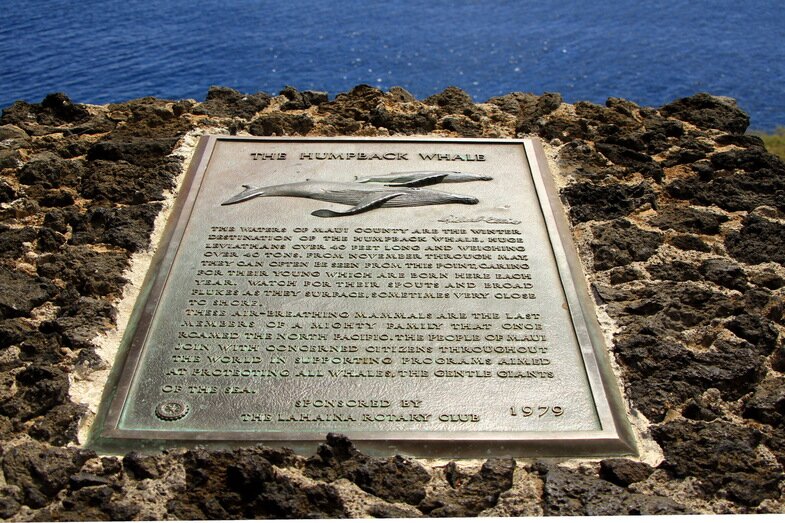 39hawaii-cruise-the-island-of-maui.jpg