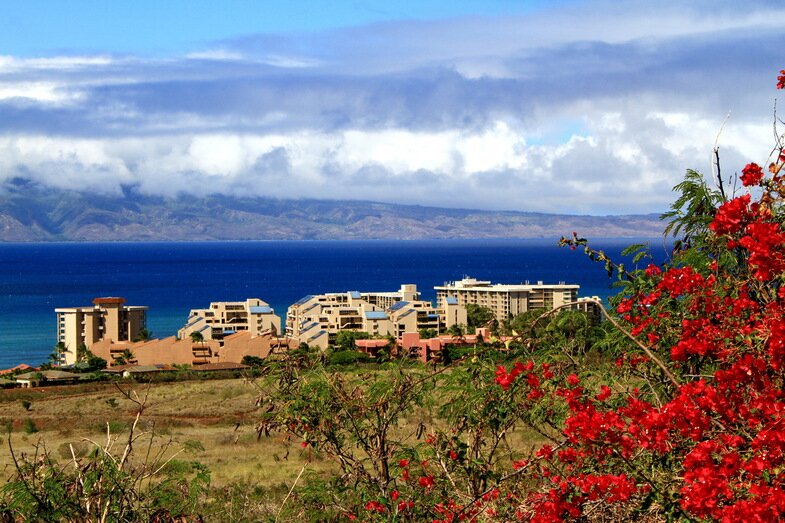 49hawaii-cruise-the-island-of-maui.jpg