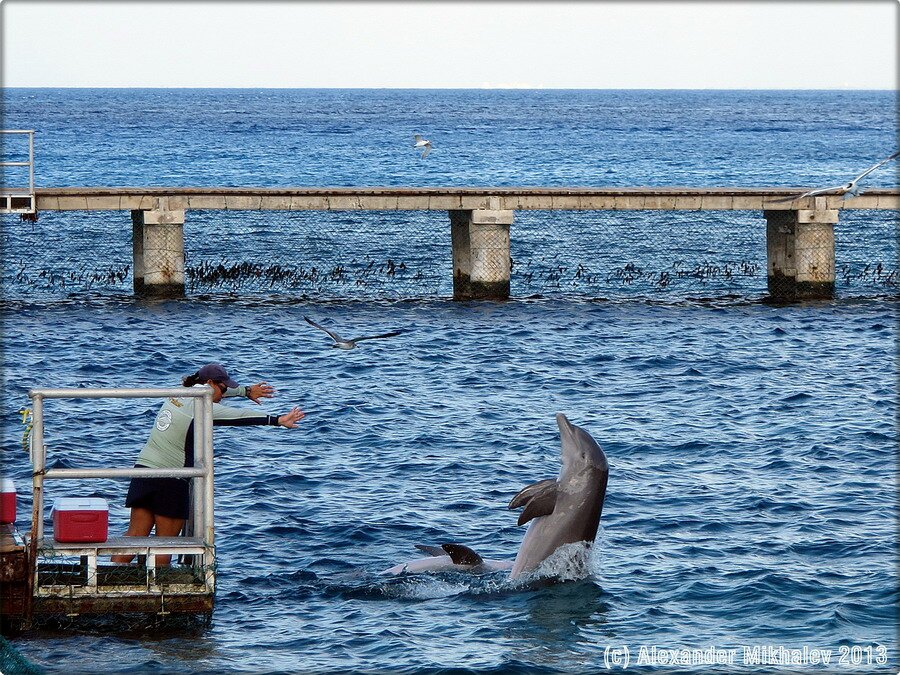 5stopover-in-cozumel-mexico.jpg