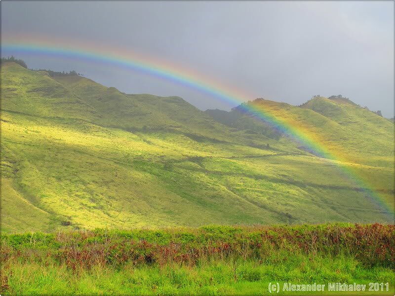 61honolulu-and-oahu-island.jpg