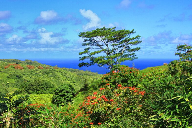 74hawaii-cruise-the-island-of-maui.jpg