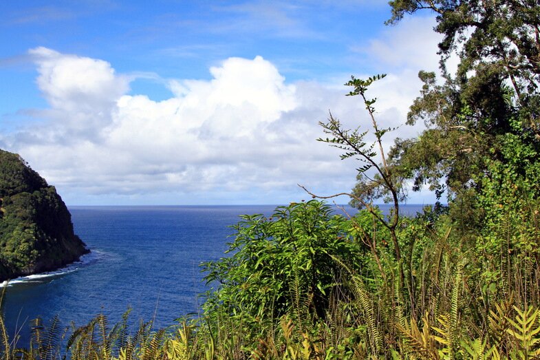 75hawaii-cruise-the-island-of-maui.jpg