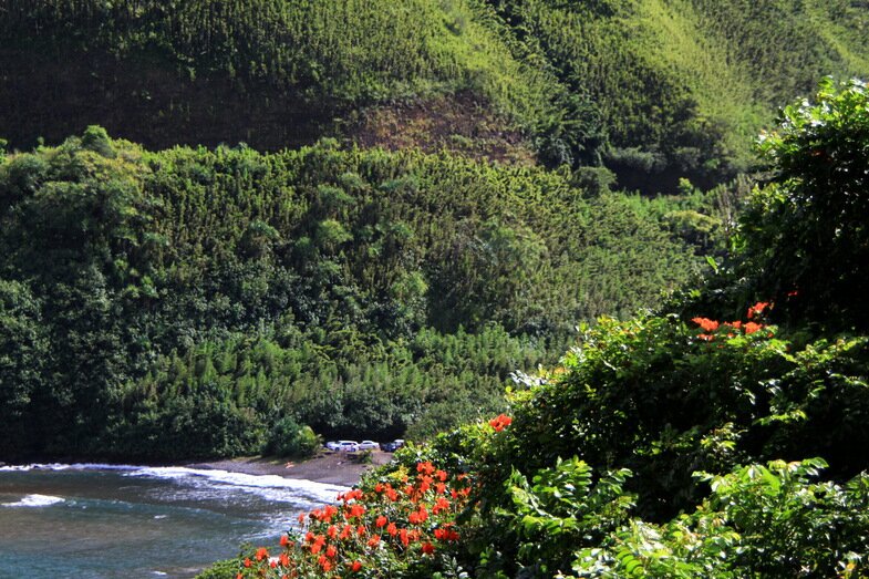 76hawaii-cruise-the-island-of-maui.jpg