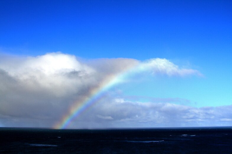 85hawaii-cruise-the-island-of-maui.jpg