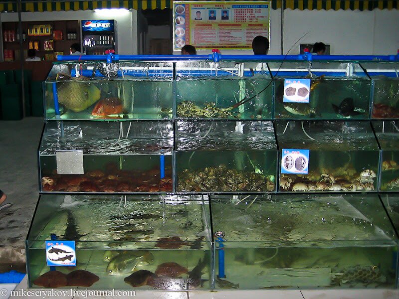 18chinese-island-of-hainan.jpg