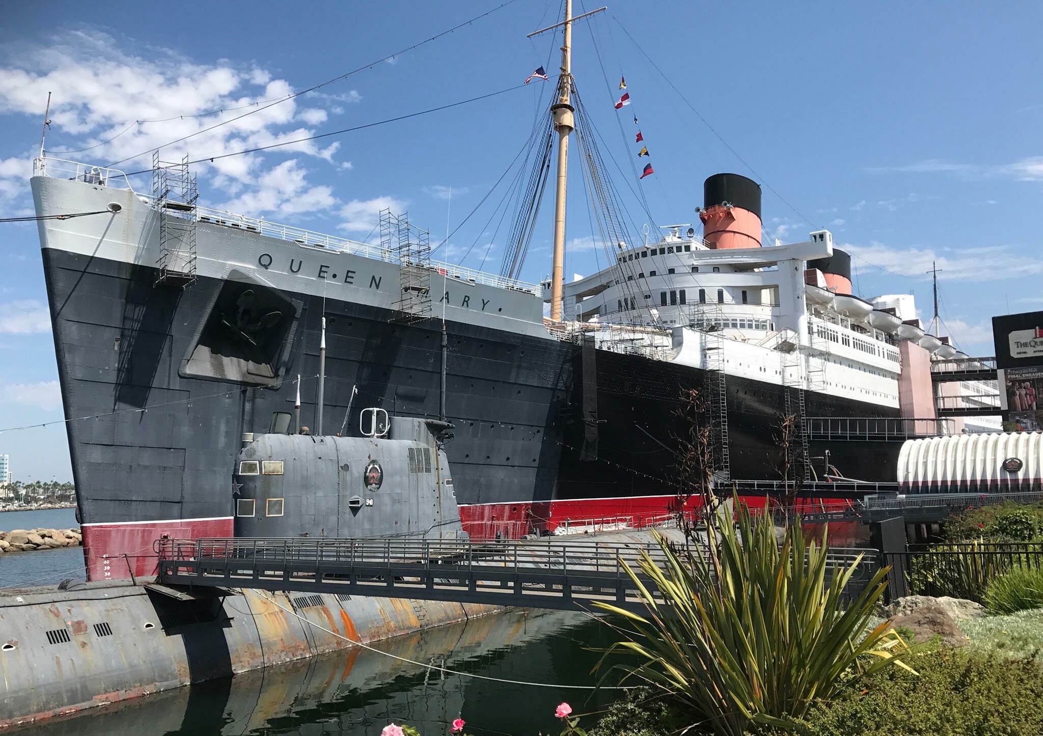 Peter Knego history of cruise ships