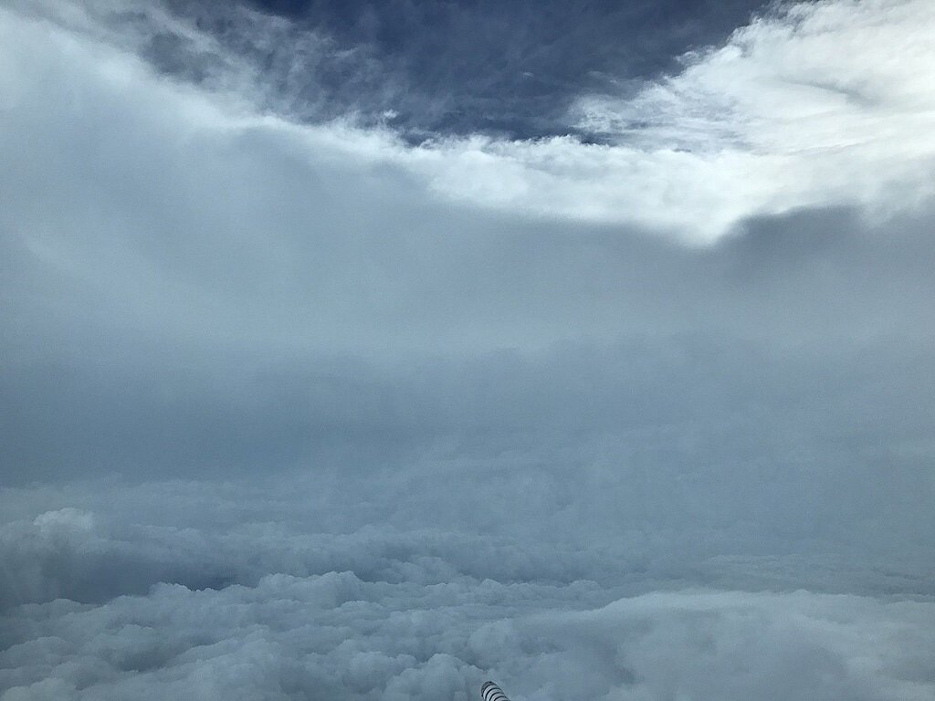 hurricane irma
