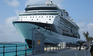 © <a href="https://commons.wikimedia.org/wiki/File:Celebrity_Summit.jpg" target="_blank" rel="nofollow">Yankeesman312/Wikimedia</a>/<a href="https://creativecommons.org/licenses/by-sa/3.0/deed.en" target="_blank" rel="nofollow">CC BY-SA 3.0</a>