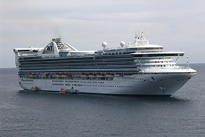 © <a href="https://commons.wikimedia.org/wiki/File:Golden_Princess_tendering_in_Cabo_San_Lucas.JPG" target="_blank" rel="nofollow">Jean-Philippe Boulet/Wikimedia</a>/<a href="https://creativecommons.org/licenses/by/3.0/deed.en" target="_blank" rel="nofollow">CC BY 3.0</a>