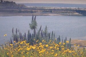 http://creativecommons.org/licenses/by/3.0 ||| Public domain