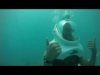 Embedded thumbnail