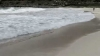 Embedded thumbnail
